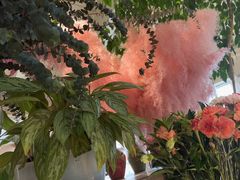 -春暖花开(西溪店)