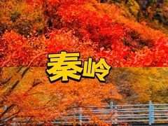 -秦岭风景区