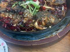 -老板恋上鱼(恒隆广场店)