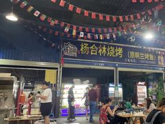 -杨合林啊兰烤鱼