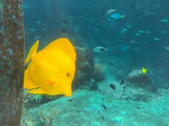 -新加坡水上探险乐园