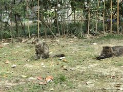 -四川大学(华西校区)