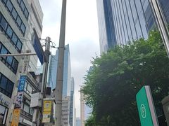 -乐天免税店(明洞店)