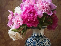 -乐天免税店(仁川国际机场店)