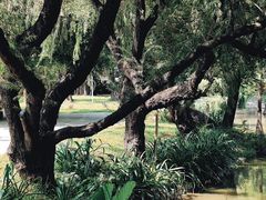 -人民公园(罗湖区)