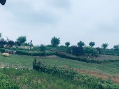 -丹世红酒庄·烧烤·团建·婚礼·水上运动