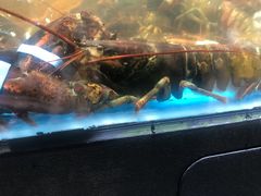 -盒马鲜生(曜一城店)