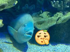 -欢乐海岸海洋奇梦馆