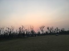 -上海长兴岛郊野公园