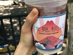 -伏小桃(明瓦廊店)