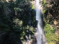 -莫里热带雨林景区