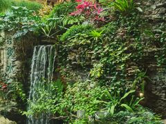 -广州白天鹅宾馆