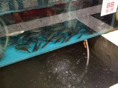 -高坎一品甲鱼庄(两河店)