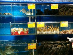 -蚝专家(北滘店)