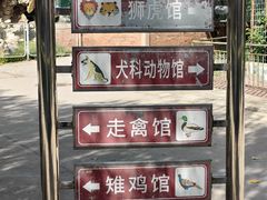 -保定市动物园