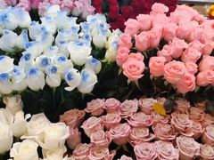 -越秀西湖花市(广州城市广场花卉店)