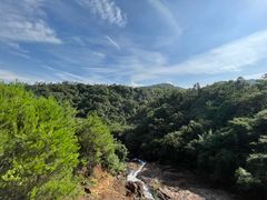 -广州白江湖森林公园