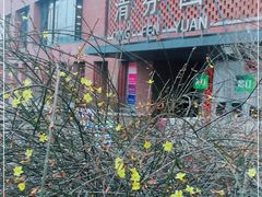 -清华大学-清芬园