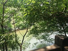 -白马涧龙池景区
