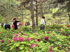 -太阳宫公园