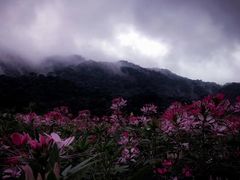 -广州市石门国家森林公园