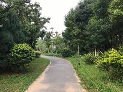 -中家鑫园温泉酒店鑫悦汤泉