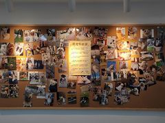 -翊宠yipet猫狗购宠庄园犬舍•猫舍