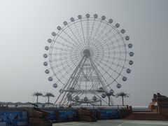 -秦皇岛乐岛海洋王国