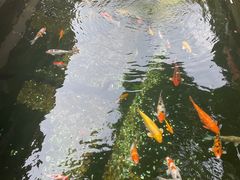 -寒山寺