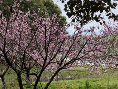-苏州科技大学（石湖校区）二食堂