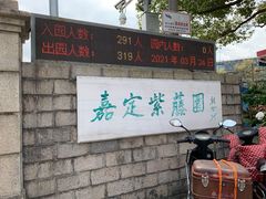 -嘉定紫藤园