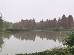 -九科绿洲