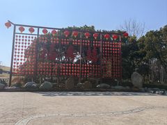 -合肥滨湖国家森林公园