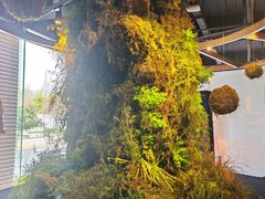 -云里小坐·海泉湾·团建·宴席·下午茶(金堂海泉湾店)