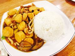 红烧豆腐饭-正德顺順德雙皮奶(中信店)