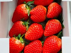 -上海龙吴水胜海发市场