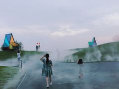 -荷兰花海