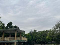 -晓港公园