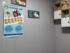 -半岛宠物医院24小时(科华中路店)