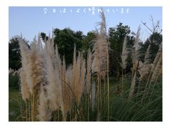 -成都中医药大学(温江校区)