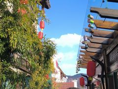 -慢丽江·云南野生菌土鸡锅(付家庄店)