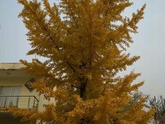 -蟒山（北京）会议中心