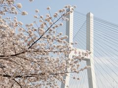 -南浦大桥长途旅游客运站