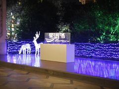 -上海浦东星河湾酒店