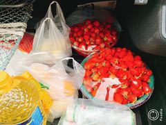 -江杨农产品批发市场