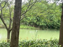 -苏州太湖国家湿地公园