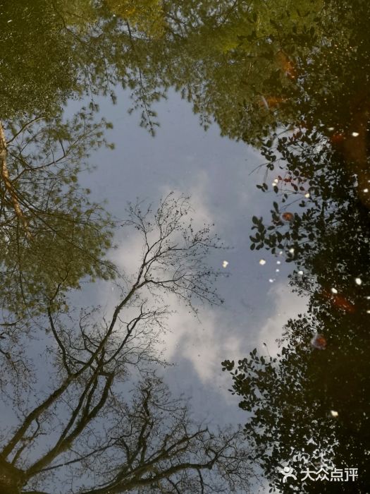 溪口-滕头旅游景区图片