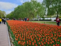 -长白岛森林公园