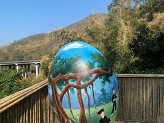 -西双版纳原始森林公园