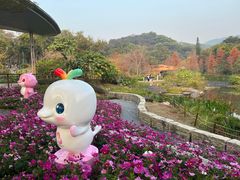 -云溪植物园